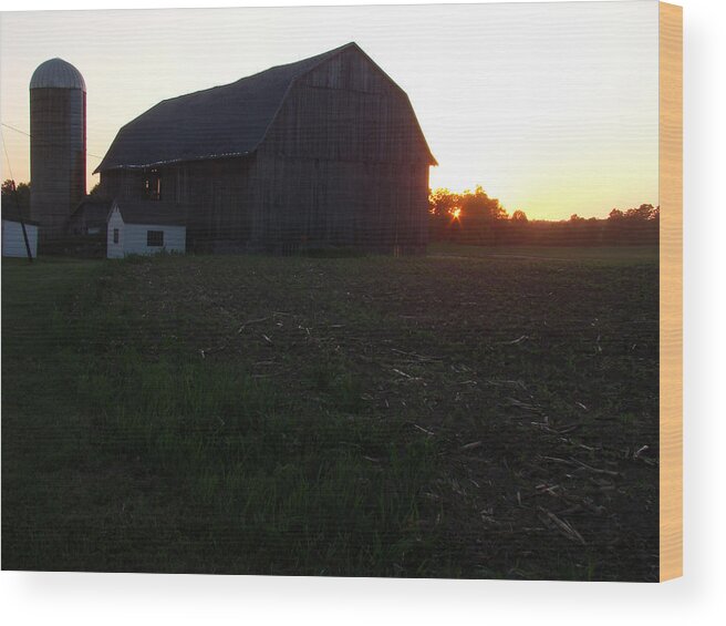 Landscape Wood Print featuring the photograph Sunset on the Farm by Todd Zabel