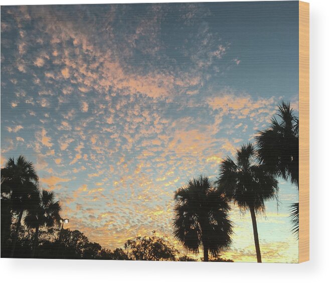 Sunset Wood Print featuring the photograph Sunset over the Gulf of Mexico #2 by Susan Grunin