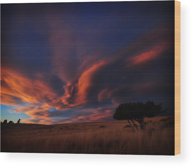Mountain Wood Print featuring the photograph Sunset Plains by Jedediah Hohf
