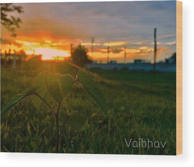  Wood Print featuring the photograph Sunset by Vaibhav singh Sengar