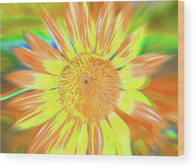 Sunflowers Wood Print featuring the photograph Sunsoaring by Cris Fulton