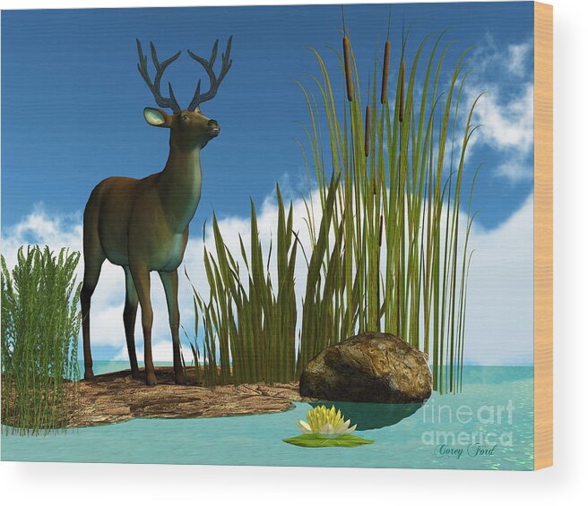 Deer Wood Print featuring the painting Swamp Deer by Corey Ford