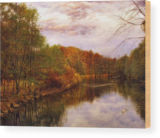 Autumn Wood Print featuring the photograph Swan Lake by Jessica Jenney