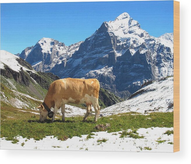 Switzerland Wood Print featuring the photograph Swiss Scene by Mary Ellen Mueller Legault