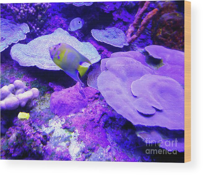 Tropical Wood Print featuring the photograph TA Purple Coral and Fish by Francesca Mackenney