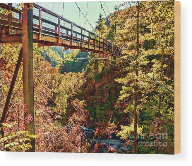 Tallulah Gorge Wood Print featuring the photograph Tallulah Gorge Suspension Bridge by David Lane