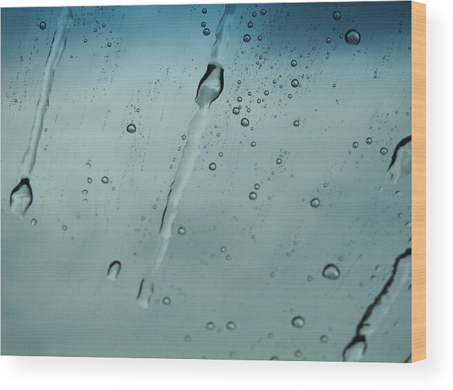Weather Wood Print featuring the photograph Teardrops of Rain by Jan Gelders
