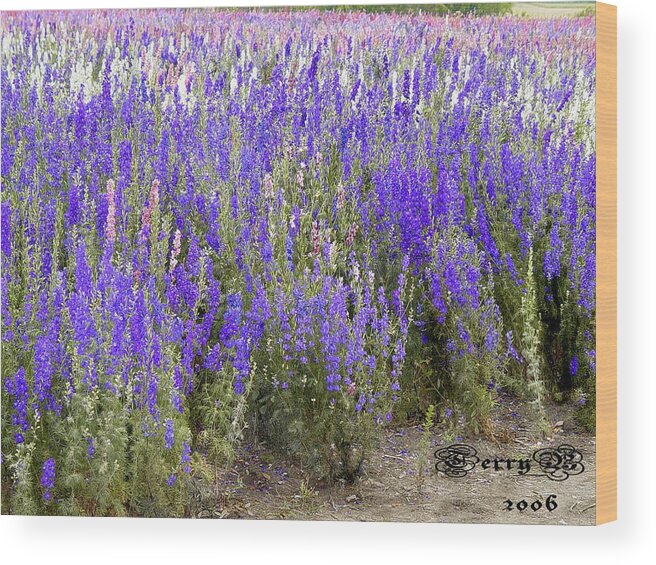Landscape Wood Print featuring the photograph Texas Wildseed Farm by Terry Burgess