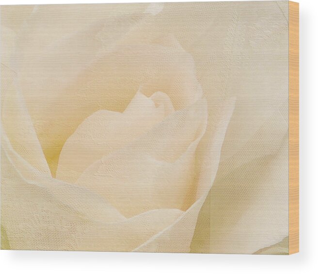 Rose Wood Print featuring the photograph Textured Pastel Rose by Blair Wainman