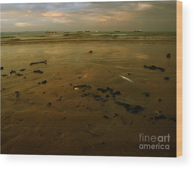Sea Wood Print featuring the photograph Th Low Tide by Ang El