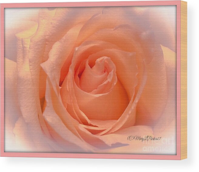 Photograph Wood Print featuring the photograph The Beauty Of A Rose copyright Mary Lee Parker 17, by MaryLee Parker
