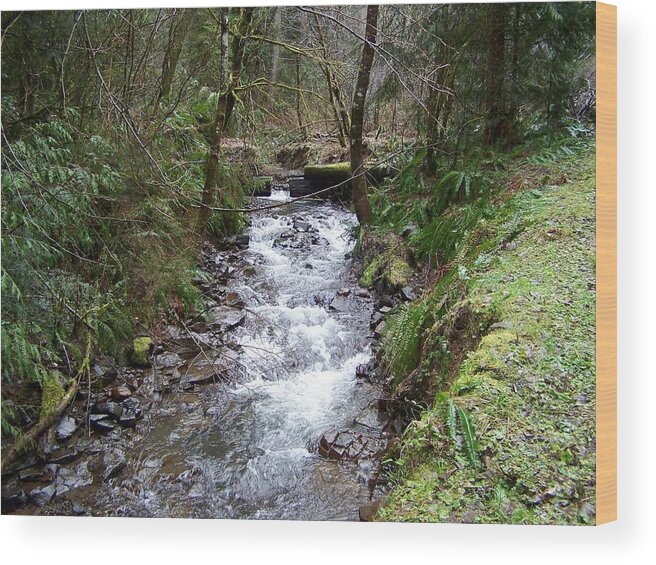 Digital Photography Wood Print featuring the photograph The Creek by Laurie Kidd