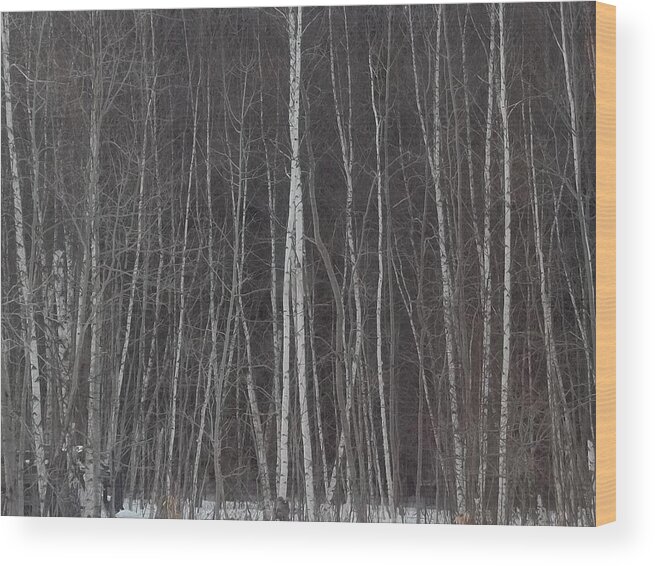 Trees Wood Print featuring the photograph The Dark Beyond The Trees by Jackie Mueller-Jones