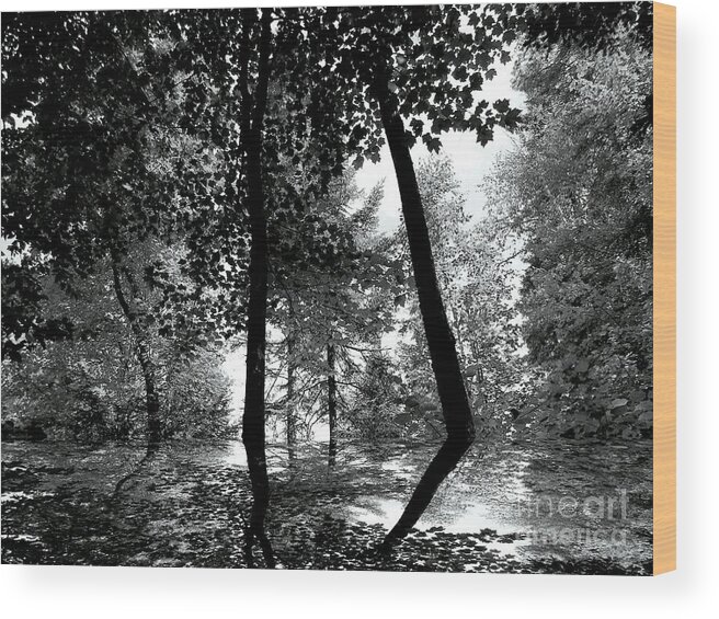 Trees Wood Print featuring the photograph The Forest by Elfriede Fulda