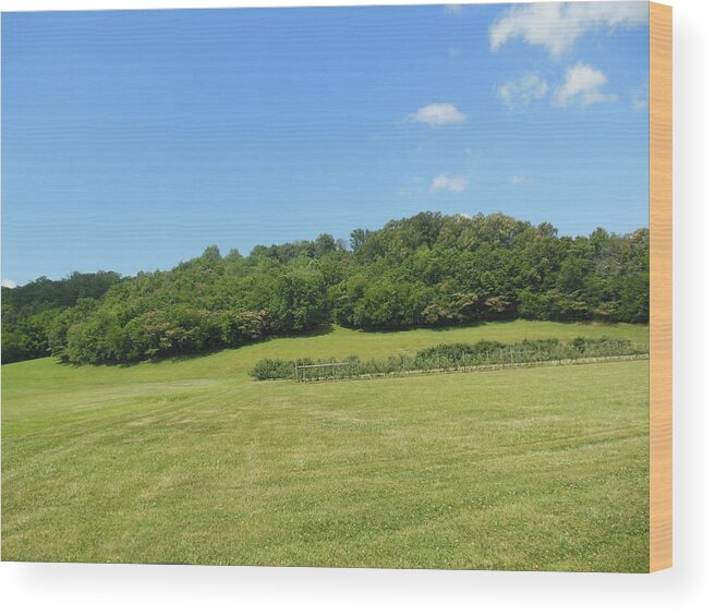 Field Wood Print featuring the photograph The Grass is Always Greener by Ali Baucom