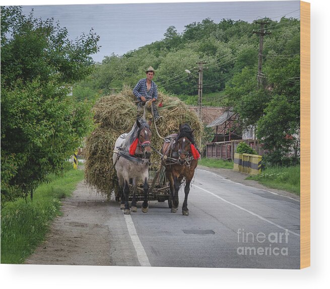 Hay Wood Print featuring the photograph The Hay Cart, Romania by Perry Rodriguez