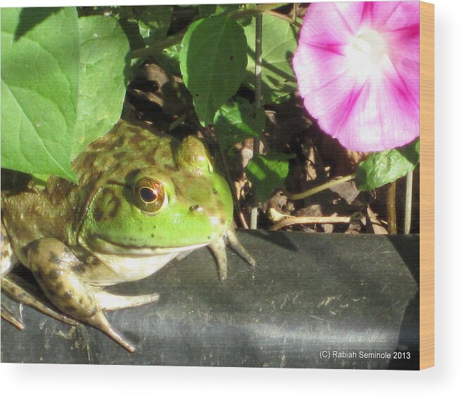 Frogs Wood Print featuring the photograph The Prince by Rabiah Seminole