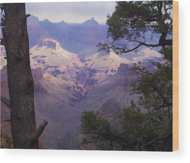 Grand Canyon Wood Print featuring the photograph The Purple Grand by Marna Edwards Flavell