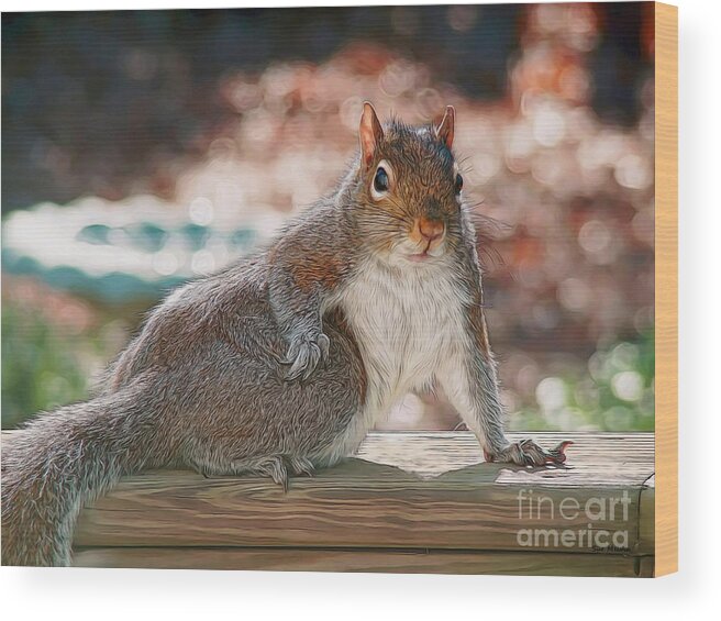 Squirrel Wood Print featuring the photograph The Squirrel Show-off by Sue Melvin