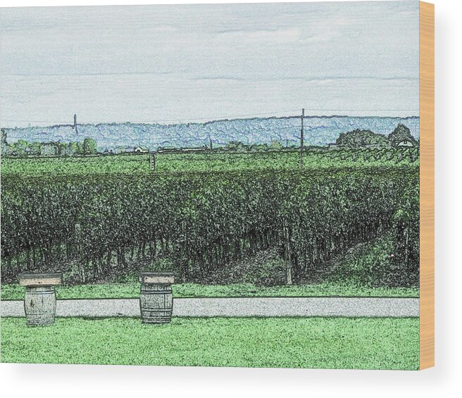 Vineyards Wood Print featuring the digital art The Vineyards Of Niagara Region by Leslie Montgomery