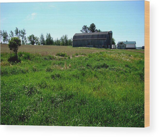 Landscape Wood Print featuring the photograph The Walk Back by Todd Zabel