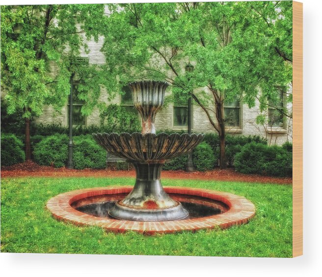 Frank J Benz Wood Print featuring the photograph Thirsty Fountain - LOUKY812 by Frank J Benz