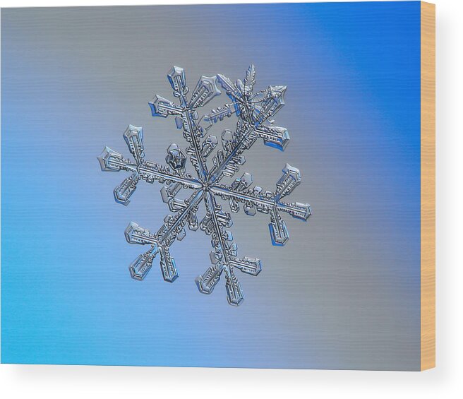 Snowflake Wood Print featuring the photograph Three-in-one by Alexey Kljatov