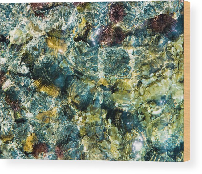 Tide Pool Wood Print featuring the photograph Tide Pool Abstraction by Christopher Johnson