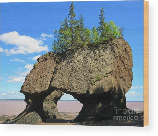 Unique Rock Formations Wood Print featuring the photograph Tides Out by Crystal Loppie