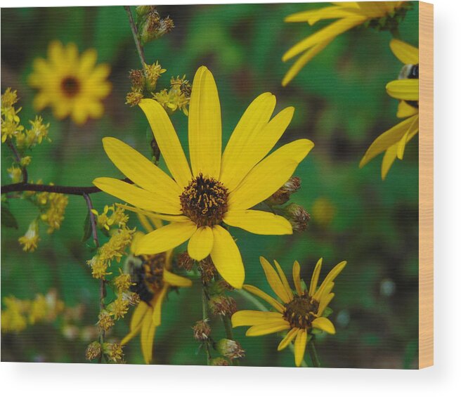 Flower Wood Print featuring the photograph Trail Views by Richie Parks