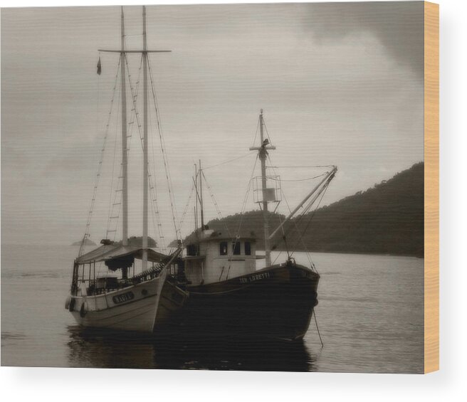 Tranquility Wood Print featuring the photograph Tranquility by Amarildo Correa