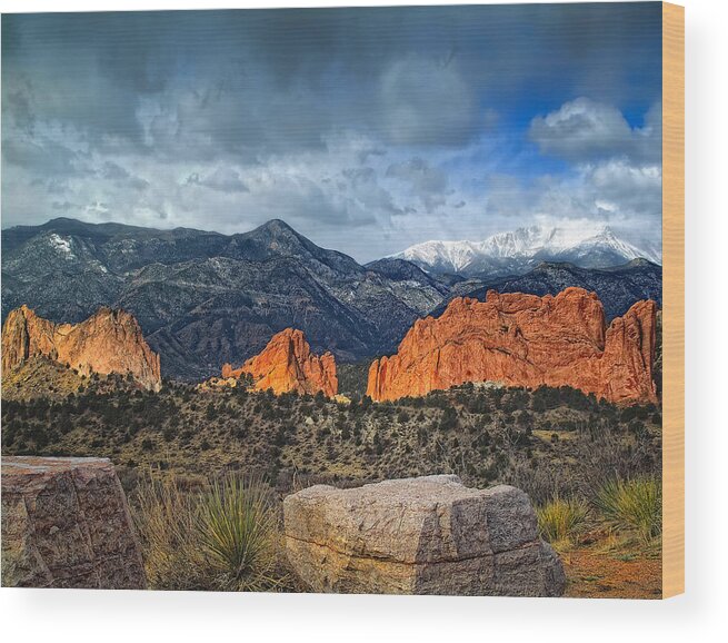 Pikes Peak Wood Print featuring the photograph Treasures of Colorado Springs by Tim Reaves
