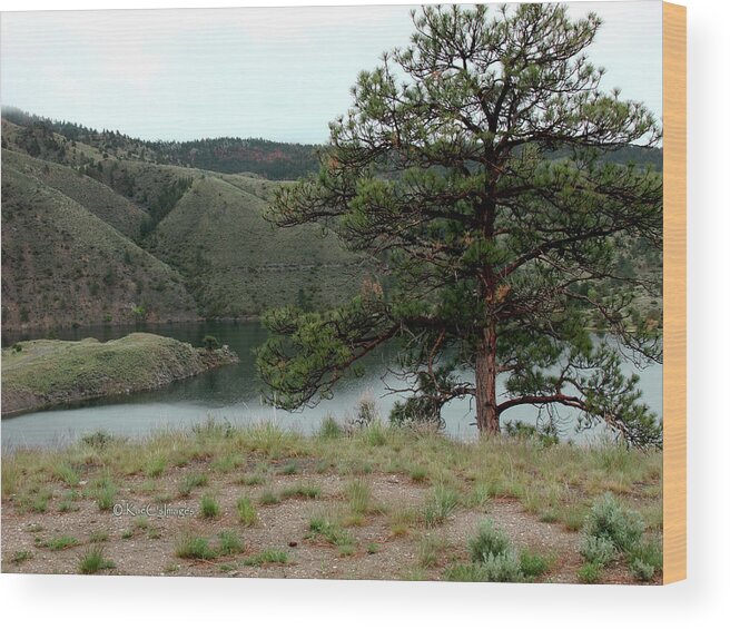 Tree Wood Print featuring the photograph Tree on Missouri River Bluff by Kae Cheatham