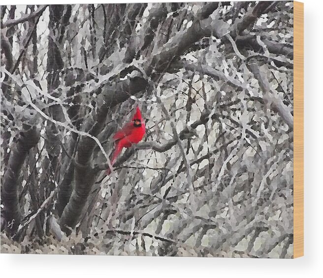 Red Bird Wood Print featuring the mixed media Tree Ornament, A Male Cardinal on Snowy Winter Tree Branches by Shelli Fitzpatrick