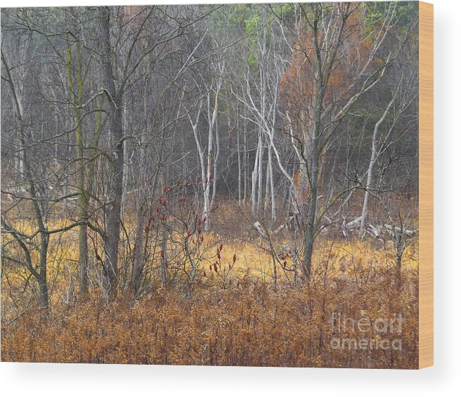 Nature Wood Print featuring the photograph Trees in Heritage Park on a Foggy Day #2 by Sandra Church