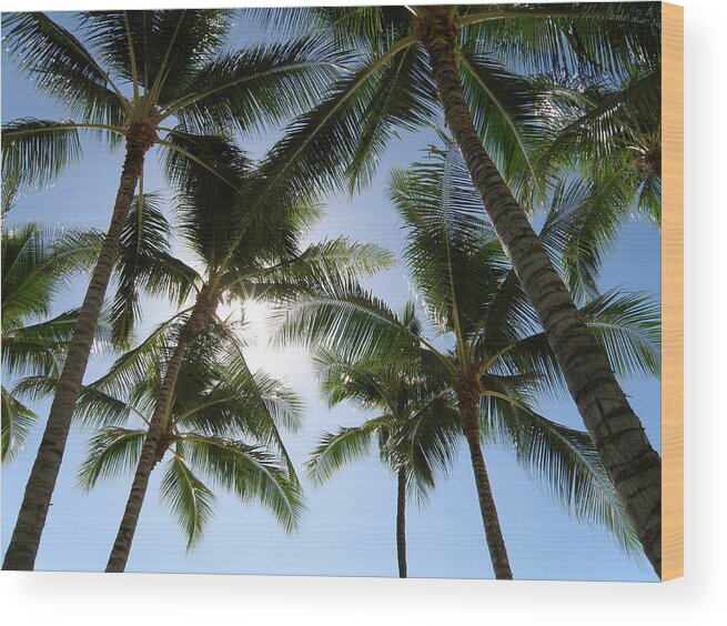 Palm; Tree; Trees; Tropics; Tropical; Palm Tree; Palm Trees; Vacation; Holiday; Relax; Relaxation; Hawaii; Waikiki; Beach; Waikiki Beach; Hawaii; Oahu; Islands; Quiet; Silence; Solitude Wood Print featuring the photograph Tropical Mood by Gerard Fritz