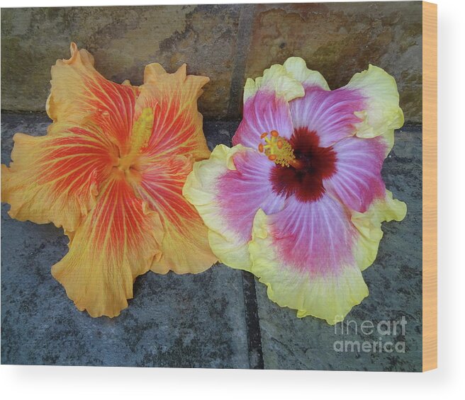 Hibiscus Wood Print featuring the photograph Tropical Pair by Jenny Lee