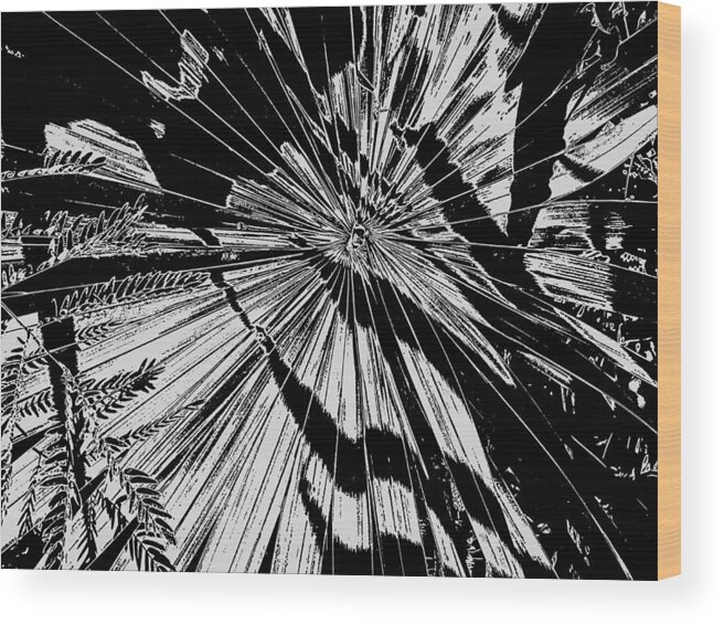 Tropical Wood Print featuring the photograph Tropix Noir by Jessica Levant