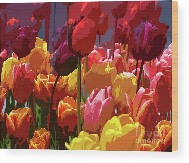 Tulips Wood Print featuring the photograph Tulip Confusion by Sharon Talson