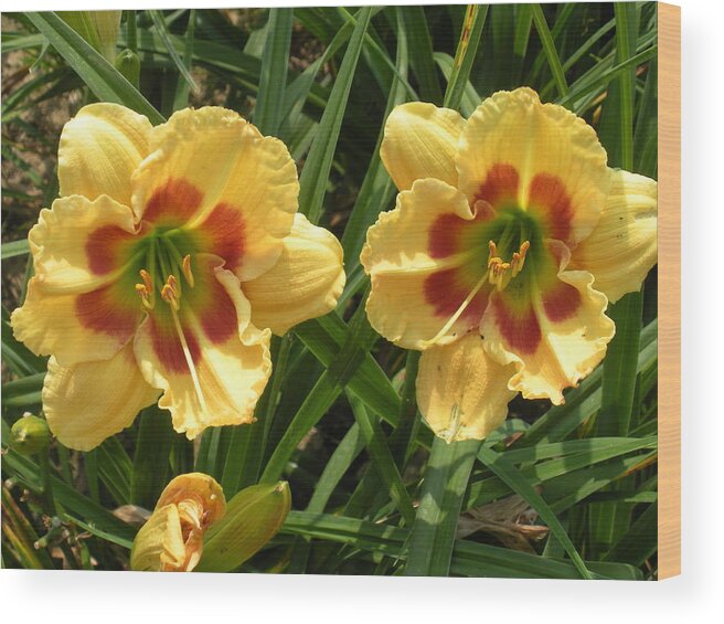 Day Lilies Wood Print featuring the photograph Two by Two by Jeanette Oberholtzer
