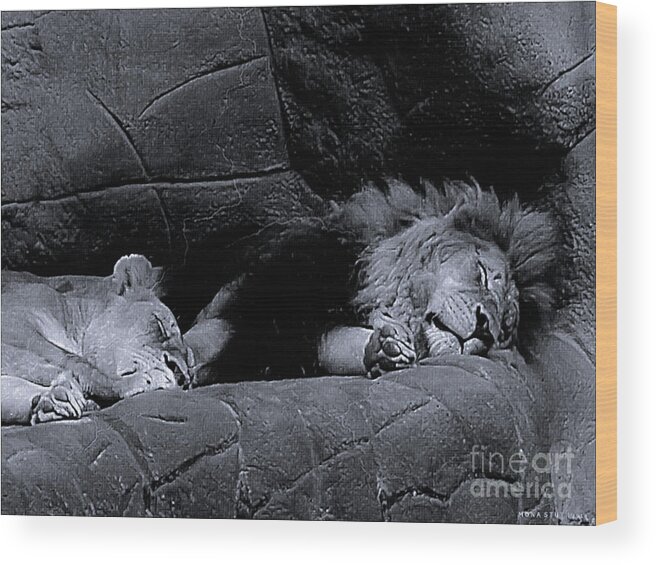 Mona Stut Wood Print featuring the photograph Twosome Relaxing BW by Mona Stut