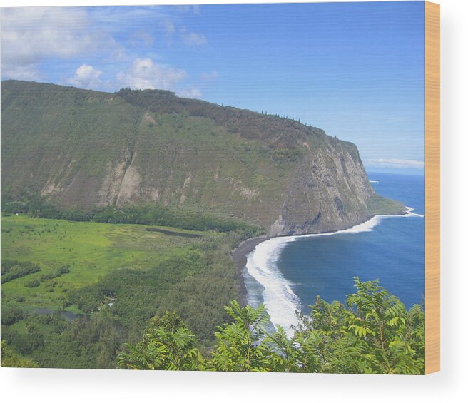 Waipio Wood Print featuring the photograph Valley of Kings by Charles Jennison