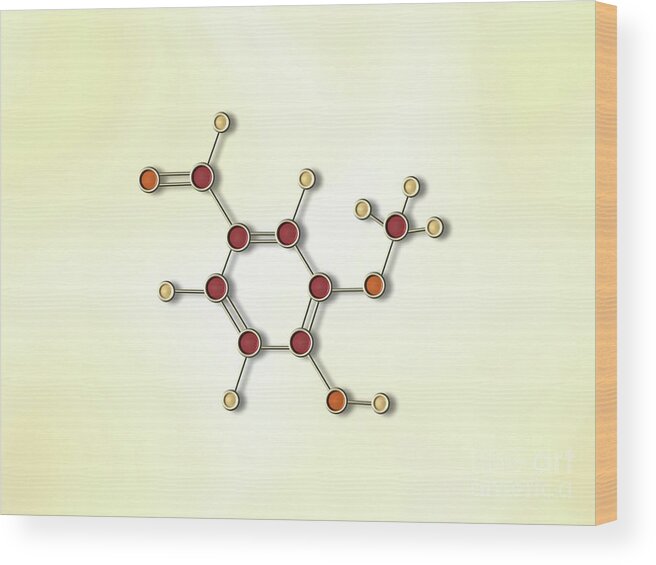 Vanilla Wood Print featuring the painting Vanilla Molecule by Pet Serrano