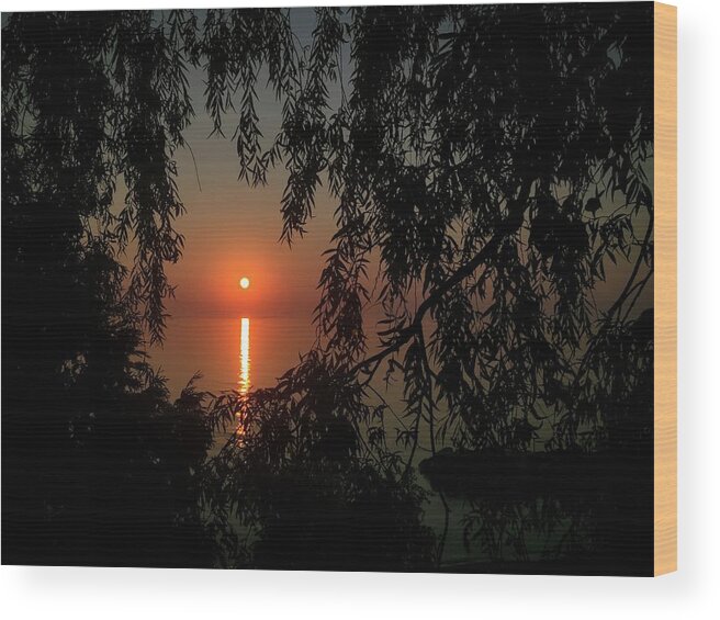 Lake Wood Print featuring the photograph Veil by Terri Hart-Ellis