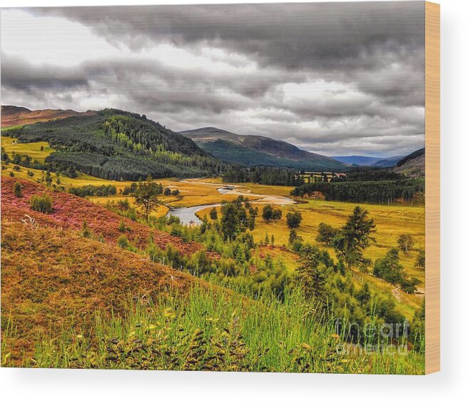 River Dee Wood Print featuring the photograph View from the River Dee by Joan-Violet Stretch