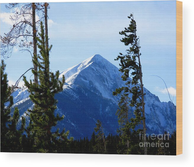 Mountain Wood Print featuring the photograph View From The Top by PJ Cloud