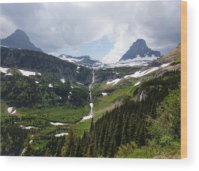 Logan Pass Wood Print featuring the photograph View of Logan Pass by William Slider
