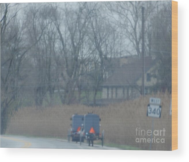 Amish Wood Print featuring the photograph Visiting Day by Christine Clark