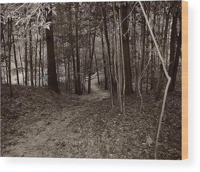  Wood Print featuring the photograph Walk in the Woods by Scott Hovind