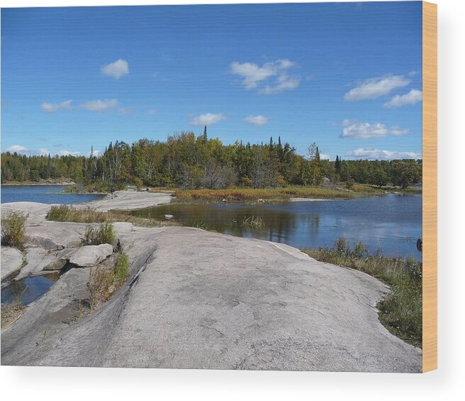 Rocks Wood Print featuring the photograph Walking on the whale's back by Ruth Kamenev